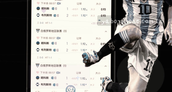 访问入口是否支持多端登录